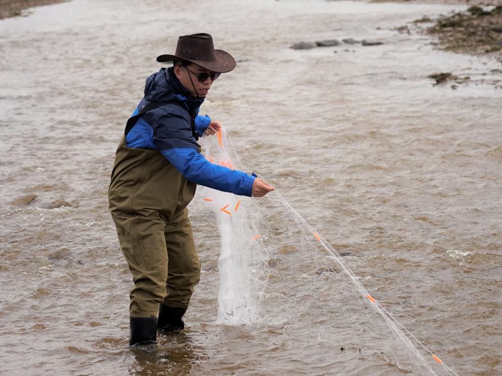 江源科考首次記錄長江南源“第六種魚類”(圖1)