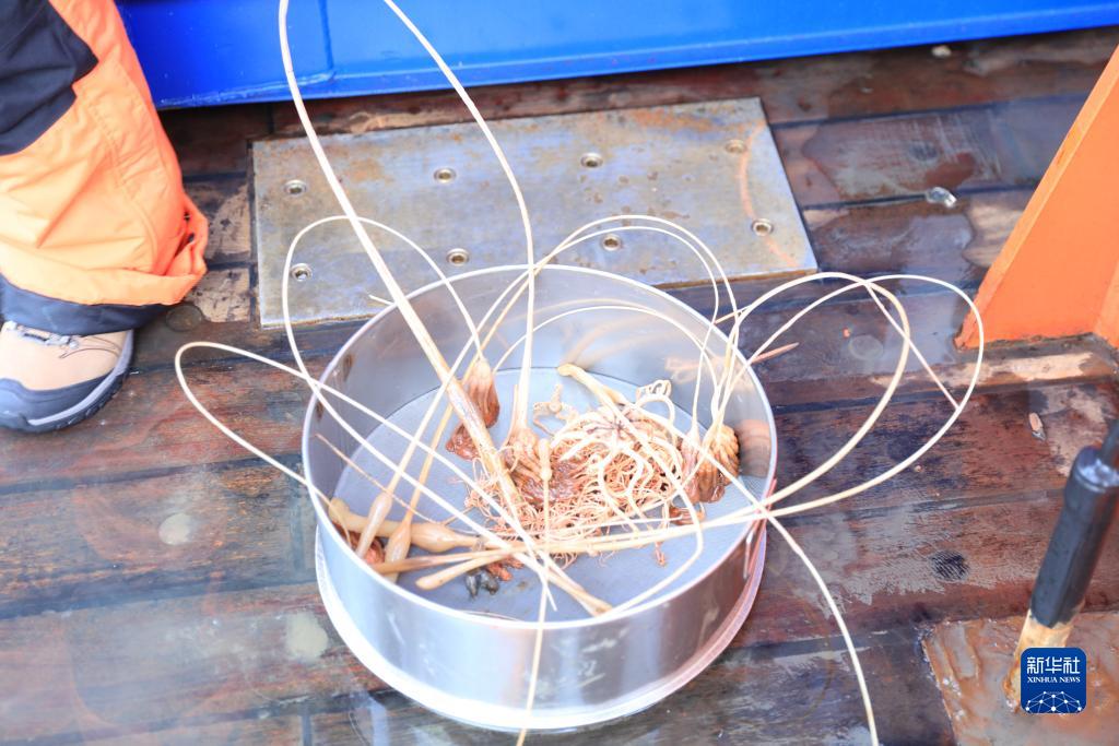 中國第13次北冰洋科學考察隊正式開始大洋科考作業(圖10)