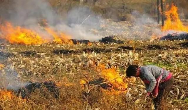淄博燒烤店美女老板：我們不是為賺錢，而是為淄博的榮譽而戰(zhàn)！(圖2)