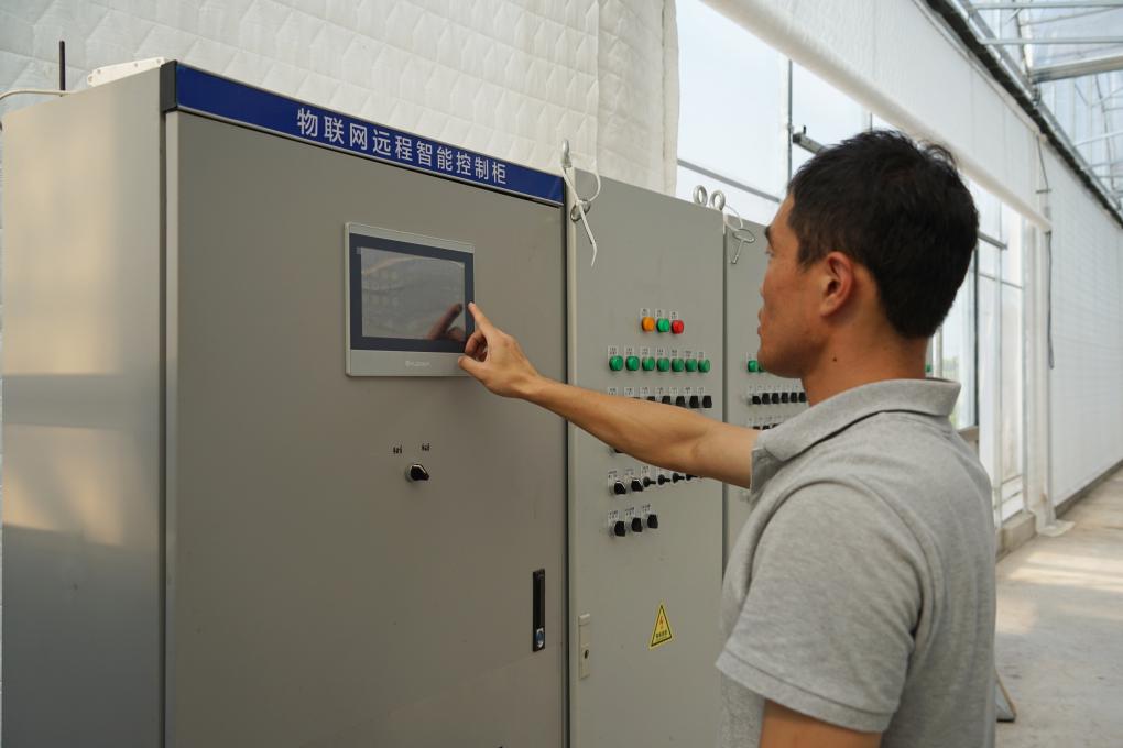 浙江慈溪：“科技創新+數字化應用”助力農業現代化(圖2)