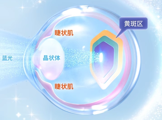 首創兒童立體護眼，inne藍光盾葉黃素全面防藍光保護視力領先一步		(圖1)