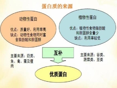 補充蛋白質提高免疫力吃什么：科學合理攝入優質蛋白質(圖3)