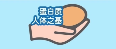 補充蛋白質提高免疫力吃什么：科學合理攝入優質蛋白質(圖1)