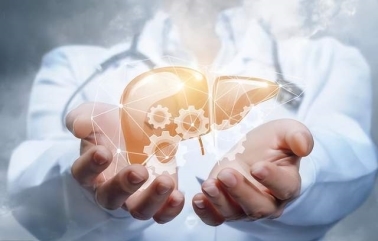 水飛薊的功效與作用：保護(hù)肝臟的最佳選擇(圖2)