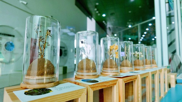 世界防治荒漠化和干旱日丨SEE基金會(huì)在行動(dòng)(圖4)