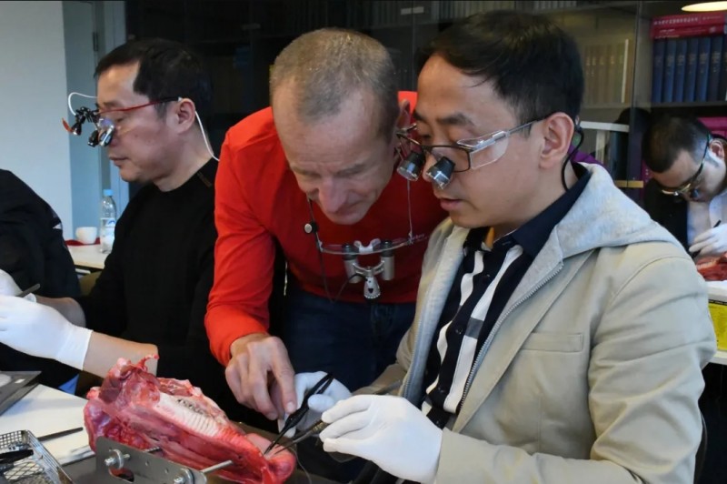 鼎植種植團隊出席國際口腔種植重磅課程德國歌德大學MOI校友會(圖6)