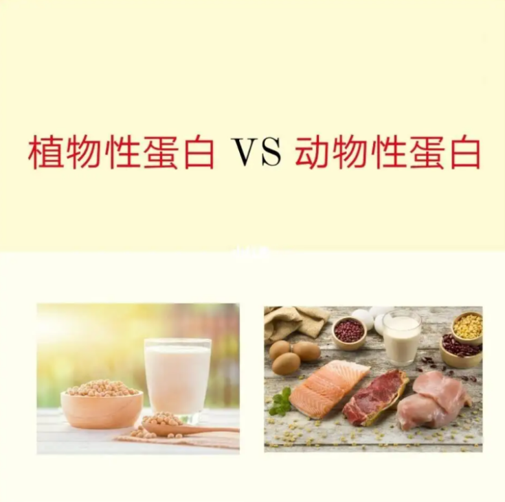 幫助補充蛋白質，湯臣倍健雙蛋白粉守護健康(圖2)